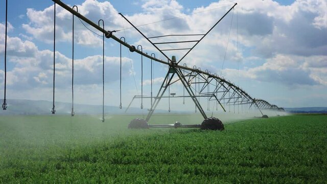 Irrigation Center pivot with drop sprinklers in Israel