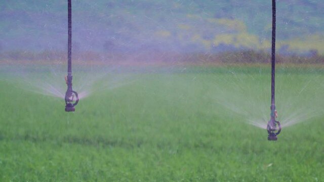 Irrigation Center pivot with drop sprinklers in Israel