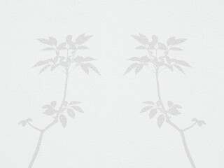 Fototapeta na wymiar shadow of tree on white concrete wall background