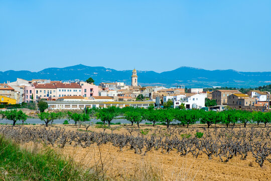 panoramic view of Nulles, in Catalonia, Spain