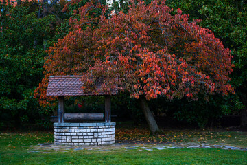 Lyon, France - October 25, 2020: Park of the Golden Head (Le Parc de la Tete d'Or)