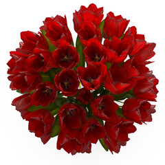 red tulips isolated on white 3d render