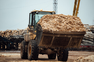the excavator loads wood chips. the large bucket of the conveyor loads biofuels and wood mulch. industrial bulldozer is engaged in unloading slag