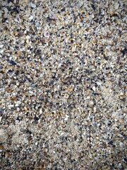 Marine background with sea shells on beach