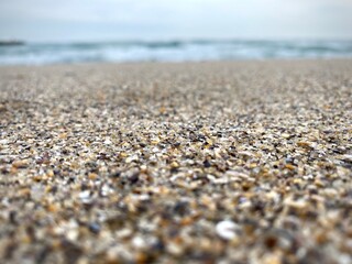 Marine blurred background with sea shells, landscape image of beach and the  sea