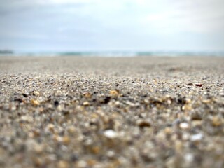 Marine blurred background with sea shells, landscape image of beach and the  sea