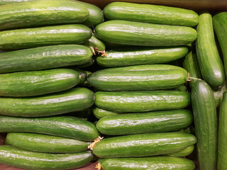 Background of long green cucumbers in close-up. Texture of green cucumbers