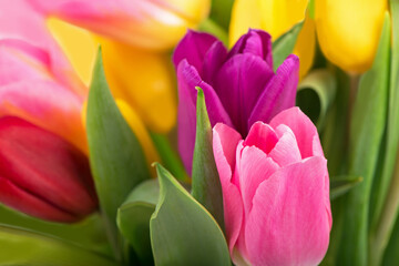 Obraz premium Many beautiful colorful tulips with leaves in a glass vase isolated on transparent background. Horizontal photo with fresh spring flowers for any festive design