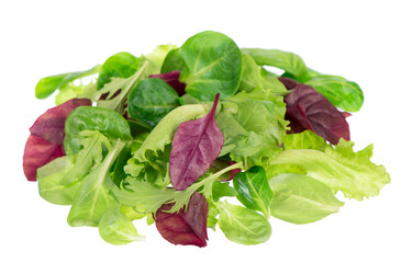 Fresh green leaves lettuce salad isolated on white background