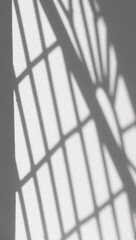 abstract shadow of window on white wall with sunlight