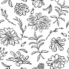 black and white outlined sketchy florals, daisy camomile calendula flowers  and leaf branches seamless pattern, endless repeatable  texture