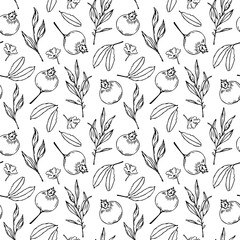 black and white outlined sketchy pomegranate and different  leaves seamless pattern, endless floral repeatable texture