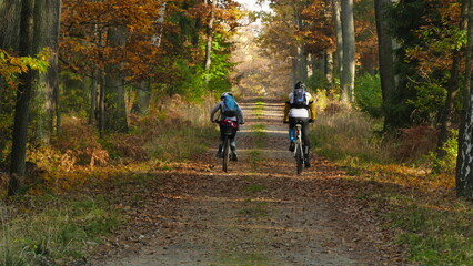Wycieczka rowerowa po lesie