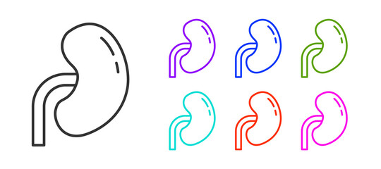 Black line Human kidney icon isolated on white background. Set icons colorful. Vector