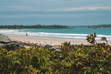 beach and sea