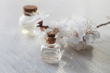 apricot oil container with fresh apricot flowers on wooden background