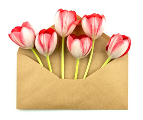 Open envelope with red tulips on white background. Greeting card with flowers. Flat lay 