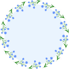 Cornflower flowers in a round frame. Spring and summer time. Blooming flowers.
