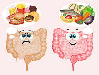 illustration of harmful foods and healthy foods for the intestine