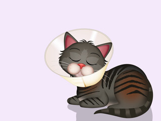 illustration of cat with funnel collar