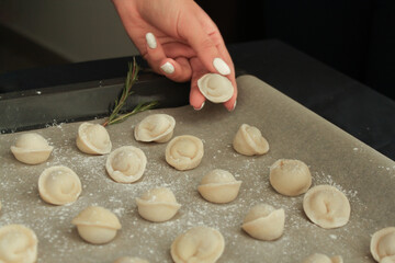 The process of making home-made dumplings. Raw homemade dumplings. Molding dumplings.