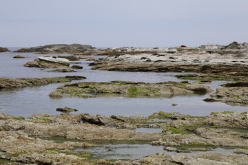Küste Kaikoura / Kaikoura coast /