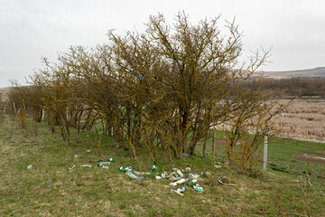 Plastic pollution near a lake