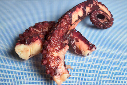 Octopus from the estuaries of Galicia, in northwestern Spain