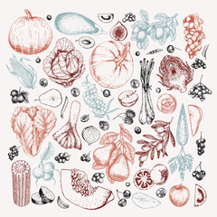Hand drawn vegetables and fruits. Vector pumpkin, pear,apple, artichoke, plum, grape, tomato, onion, cherry, gooseberry blackberry. Engraved illustration. Menu flyer package design.