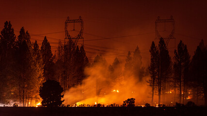 Wildfire under transmission power lines - Powered by Adobe