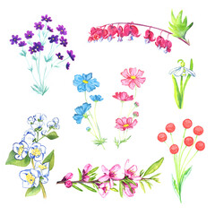 Spring flowers collection isolated on white hand painted watercolor illustration with handwritten inscriptions