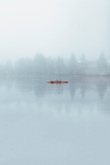 grass on the lake