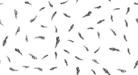 Fototapeta na wymiar Set of bird feathers. Hand drawn sketch style. 