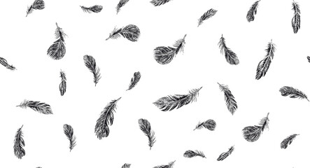 Fototapeta premium Set of bird feathers. Hand drawn sketch style. 