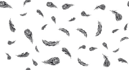 Set of bird feathers. Hand drawn sketch style.	
