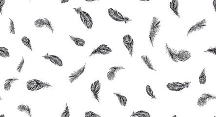 Obraz premium Set of bird feathers. Hand drawn sketch style. 