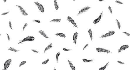 Set of bird feathers. Hand drawn sketch style.	
