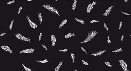 Feathers. Hand drawn sketch illustrations.	
