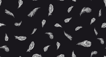 Feathers. Hand drawn sketch illustrations.	
