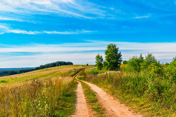 dirt road on a hill in the meadows on a sunny summer day