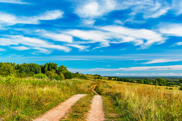 Fototapeta na wymiar dirt road on a hill in the meadows on a sunny summer day