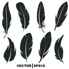 set of feathers on white background.
