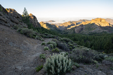 The View From Gran Canarian Landmark Roque Nublo