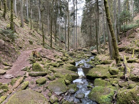 Die Monbachschlucht bei Bad Liebenzell im Nordschwarzwald ist beliebt bei Wanderern. Hier f&uuml;hrt der Weg dicht am Wasser des Monbachs entlang. An dieser Stelle ist er noch sehr schmal.