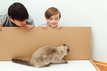 Family unpacking box with new furniture at home. Dad and son opening together big box. Funny cat at home.