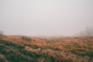 Obraz premium Thick fog on Mount Beshtau in Russia