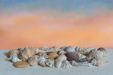 fantasy of seashells at sunset