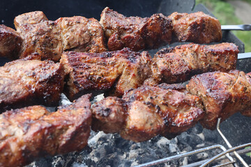 shish kebab on the grill