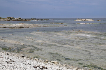 Küste Kaikoura / Kaikoura coast /