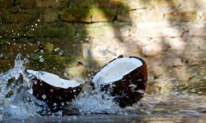 Fresh coconut on the table, with water splash photography technique